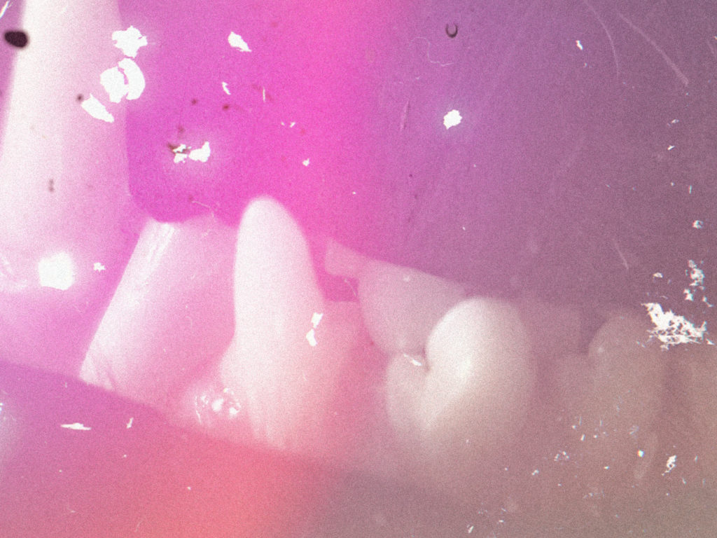 020 Native Tongue